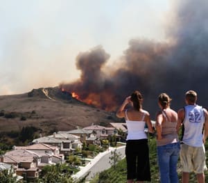 Brush Fire