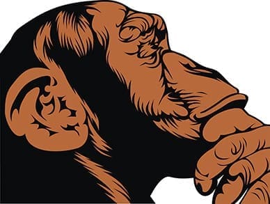 06_Ape_pix_JN
