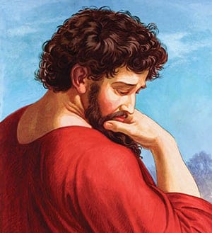 Paul's Head
