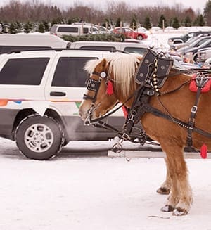10_BP_pony_JN