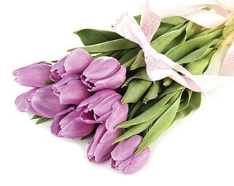 11_BP_flowers_JN