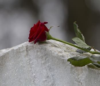 2015_Obituaries