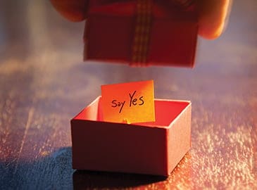 12_Boyd_Say Yes_JN
