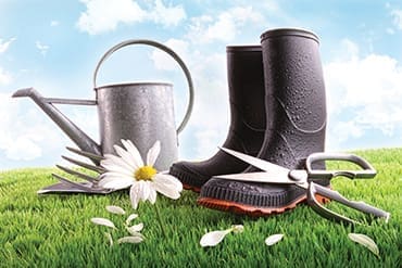 03_BP_garden_JN