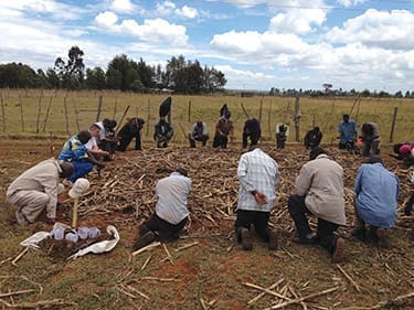 Kenyan farmers from a 